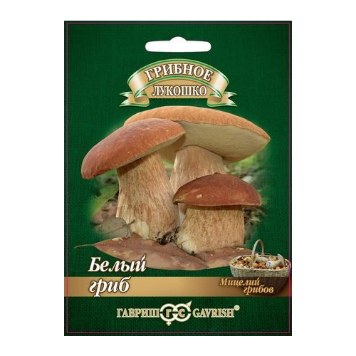 ������ ������ ������ ������� ������� ����� ���� �� �������� ��������� 15 �� ����