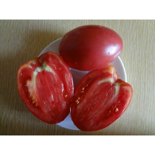 ������ ������ ������������� ������ ������ ����������� ����� ���� ����� ������ ����