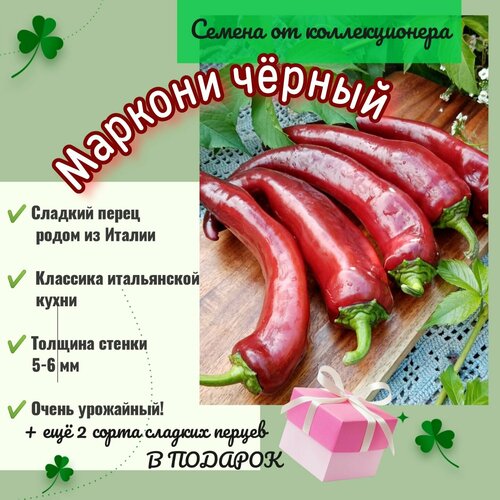 ������ ������ ����� ������� 