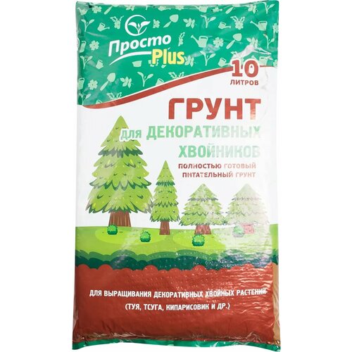 ������ ������ ����� ��� ������������ ��������� ������Plus 10 � ����