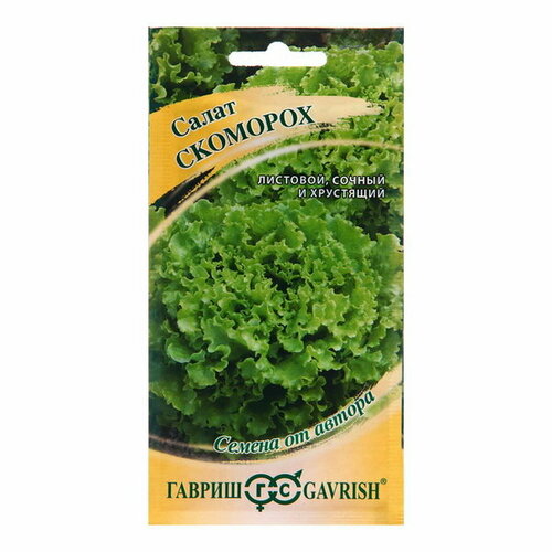 ������ ������ ������ ����� 