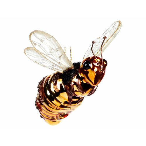 ������ ������ Goodwill ���������� ������� ������� ����� �������� 5 ��, �������� YA 92526 ����