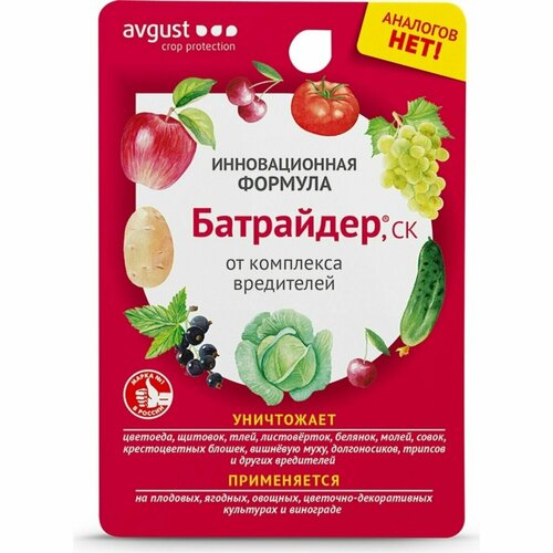 ������ ������ �������� ��� ������ ������� �������� �� ���������� ��������� N80 10 �� ����