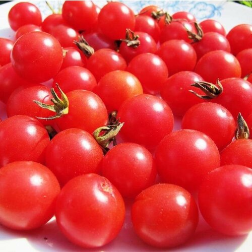 ������ ������ ����� ������� �������� ���� ��� - ������� ������ ������� ����