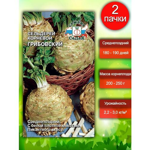 ������ ������ ������ ����� 0 null ����