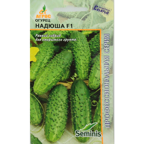 ������ ������ ������ ������ ������ F1 8�� �� ������ (�����) ����