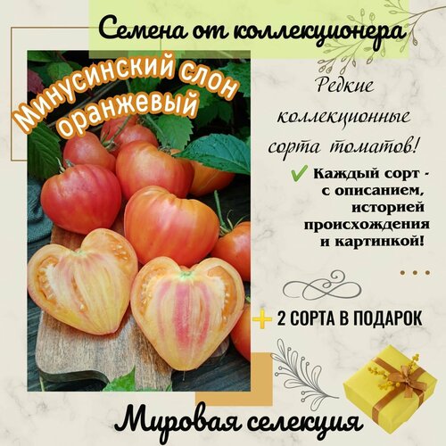 ������ ������ ����� 