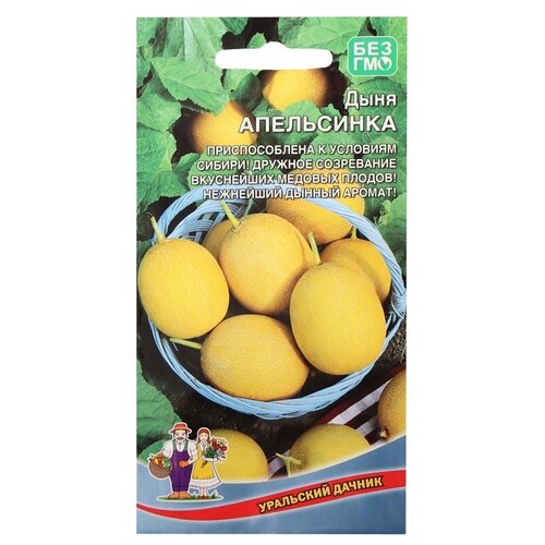 ������ ������ ������ ��������� ������ ���� ����������, 10 �� ����