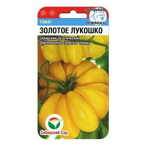 ������ ������ ������ ����� ��������� ��� ������� ������� 20�� ����