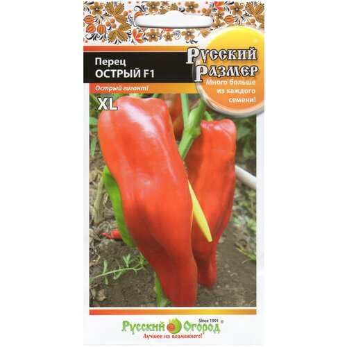 ������ ������ ����� ������ ������� ������ F1 15�� ����� (1 �����) ����