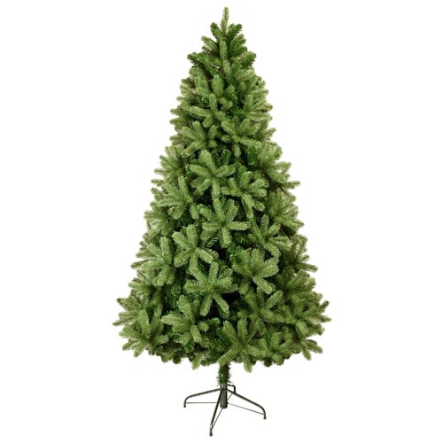 ������ ������ ��� ������������� ���� ���� ������� ���������, 270 �� ����