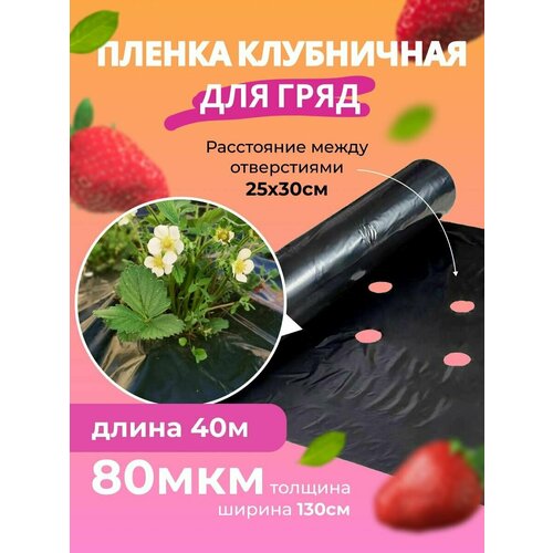 ������ ������ ����� ��� �������� �� ��������� ����