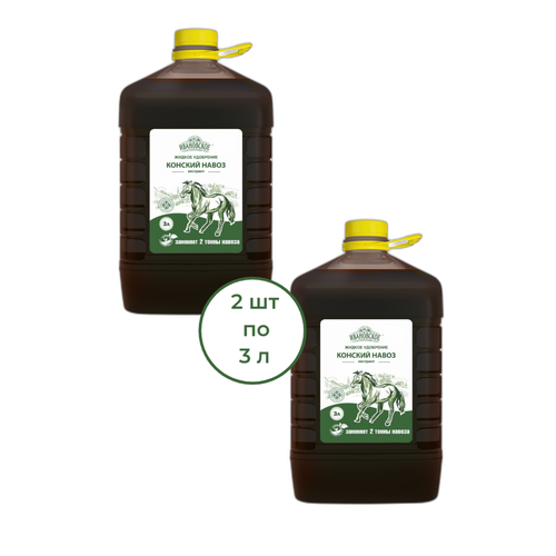 ������ ������ ������� ����� �������� ������ ��������� 3 �, 2 �� ����