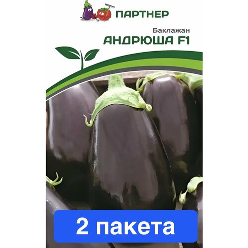 ������ ������ ������ ������ ��������� ������� 