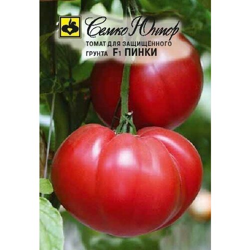 ������ ������ ������ ����� ����� F1 5�� ����� ������ (�����) ����