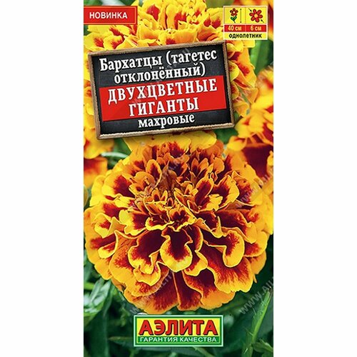 ������ ������ ������ �������� ����������� ������� ��������, ����������, (������) 0,3� ����