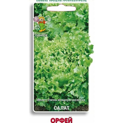 ������ ������ ������ ����� ����� ������������ 1� (�����) ����