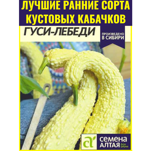 ������ ������ ������ ������ �������� ����-������ - 1 �. ����������� ���� � ���������� ����������� ����������� ������ ����