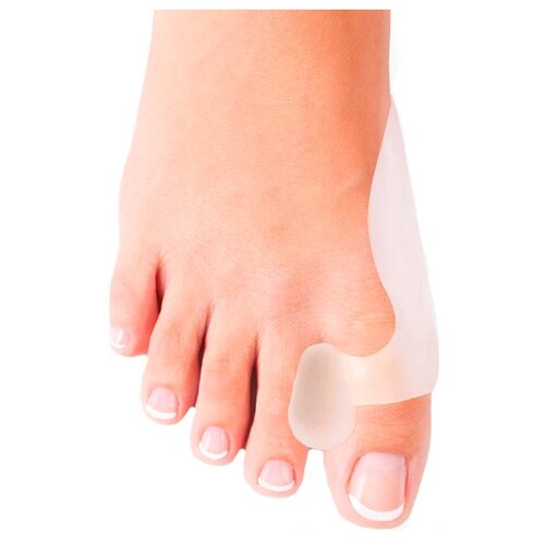 ������ ������ Ortmann �������� ������� �������������� Proto, �-�: ������������� ����