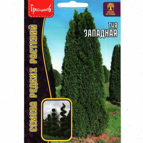 ������ ������ ��� ��������, �������� ��� ������������ ������� ( 1 ��: 0,1 � ) ����